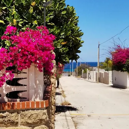 Aralia - San Lorenzo, Marzamemi Noto